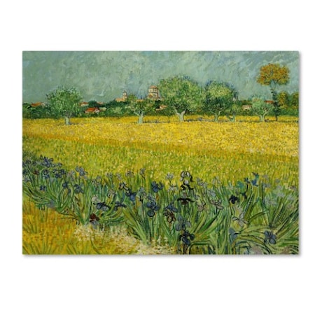 Trademark Fine Art Van Gogh 'Field With Flowers Near Arles' Canvas Art, 35x47 AA00889-C3547GG